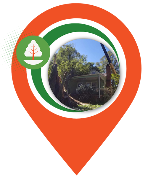Tree Services | NC - SC