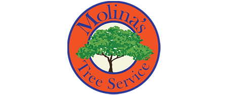 Molina's Tree Service & Landscaping LLC 