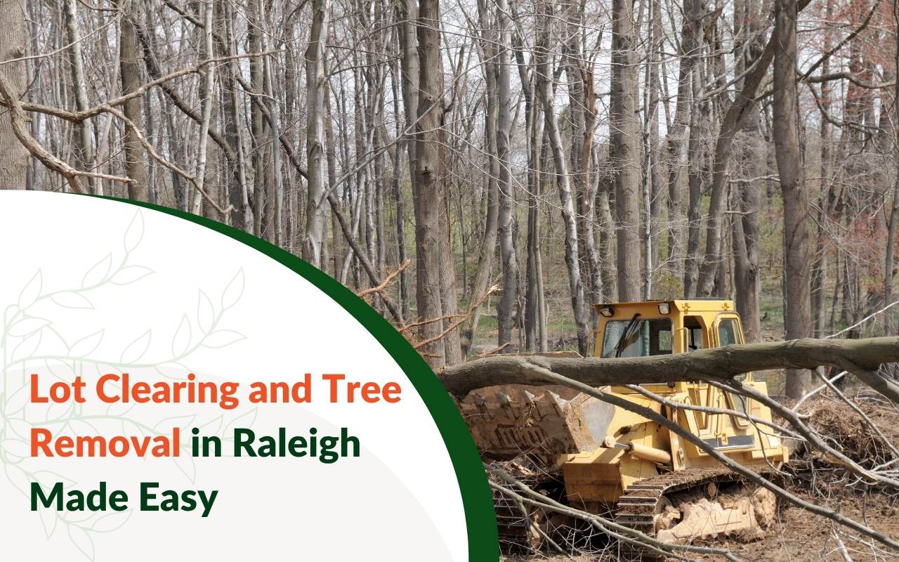 Professional crew using equipment to clear a residential lot in Raleigh