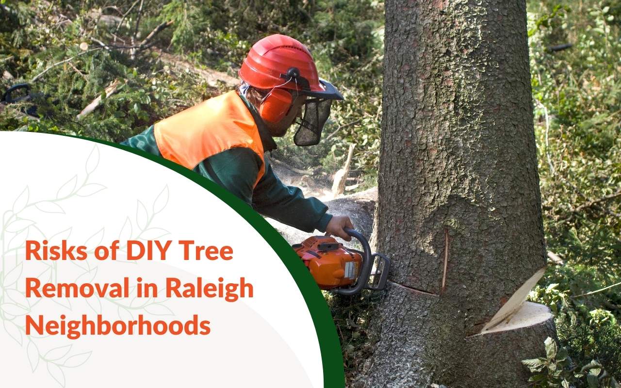 Trained tree removal team cutting a tree with safety gear