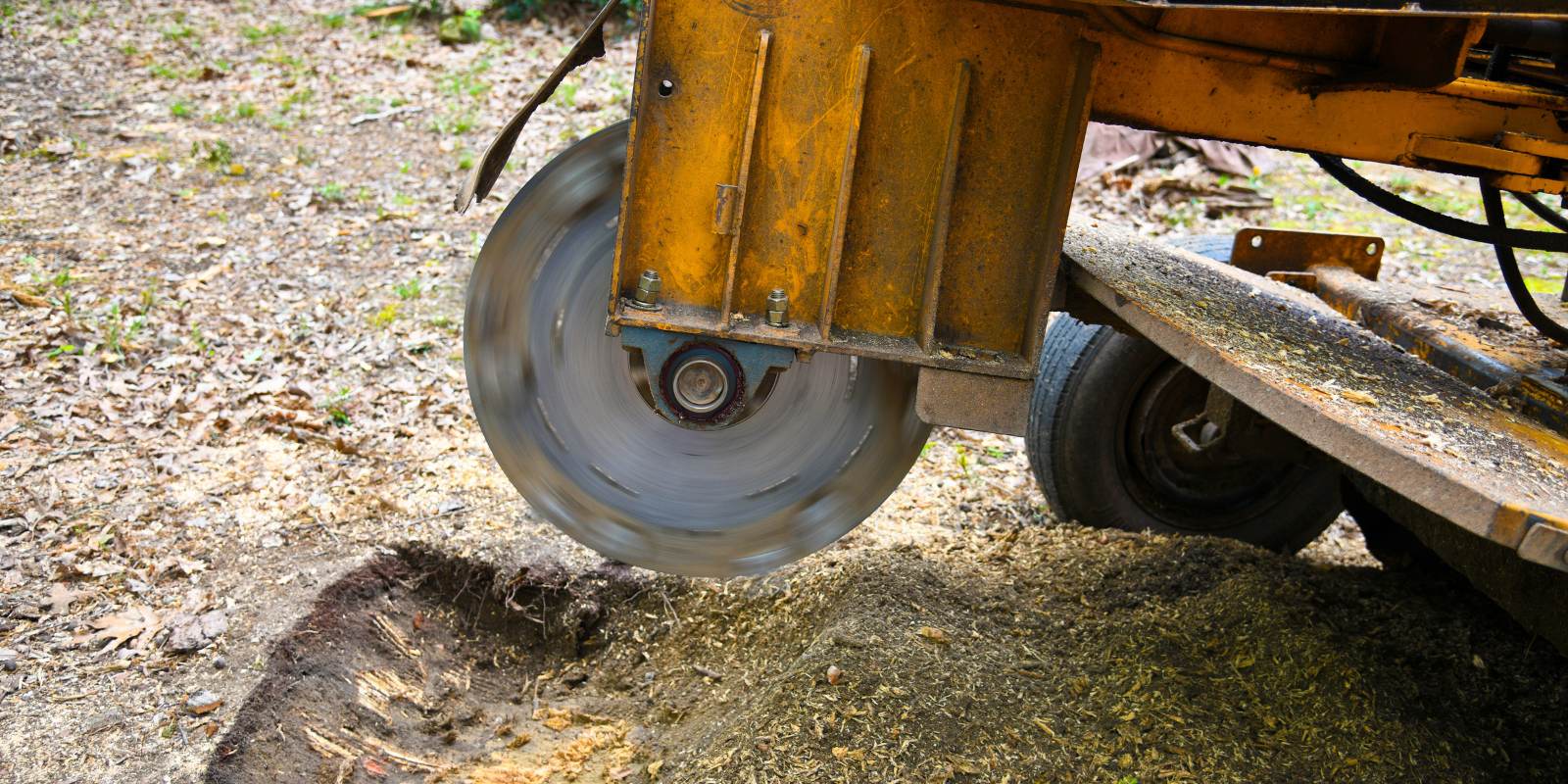 Stump grinding machine clearing a backyard stump