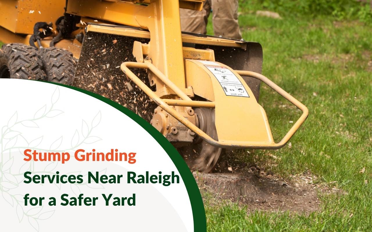 Professional stump grinder working on a tree stump in a Raleigh backyard