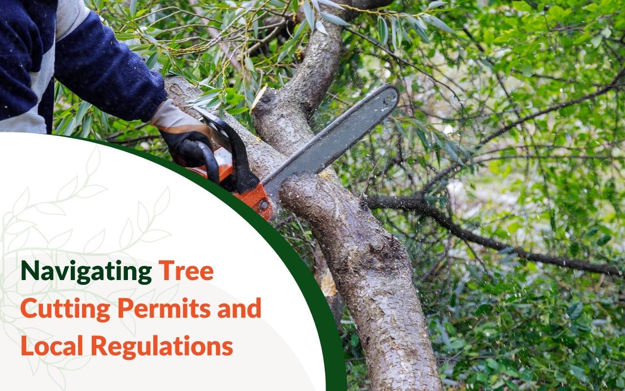 Close-up of a city tree cutting permit form in Raleigh