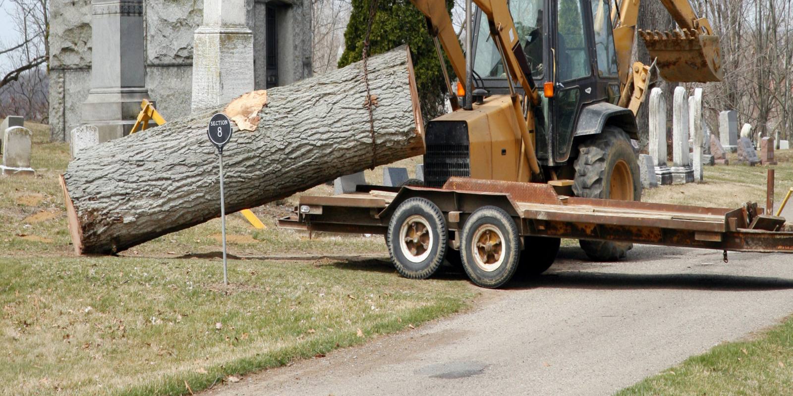 Backhoe loading a large tree trunk during tree removal service