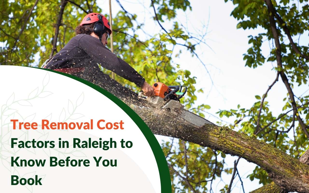 Tree service contractor writing a removal estimate for a Raleigh homeowner