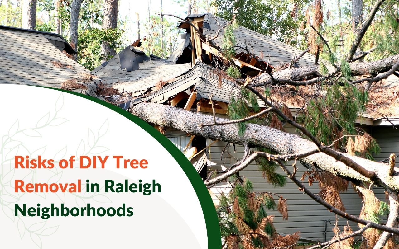 Fallen tree damaging a roof due to DIY tree cutting error