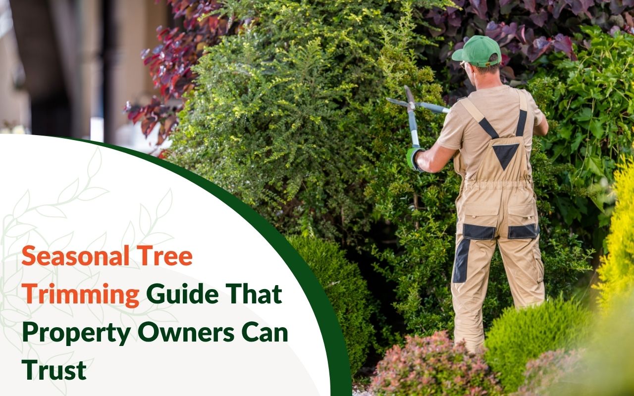 Arborist trimming a tree in Greenville during spring season