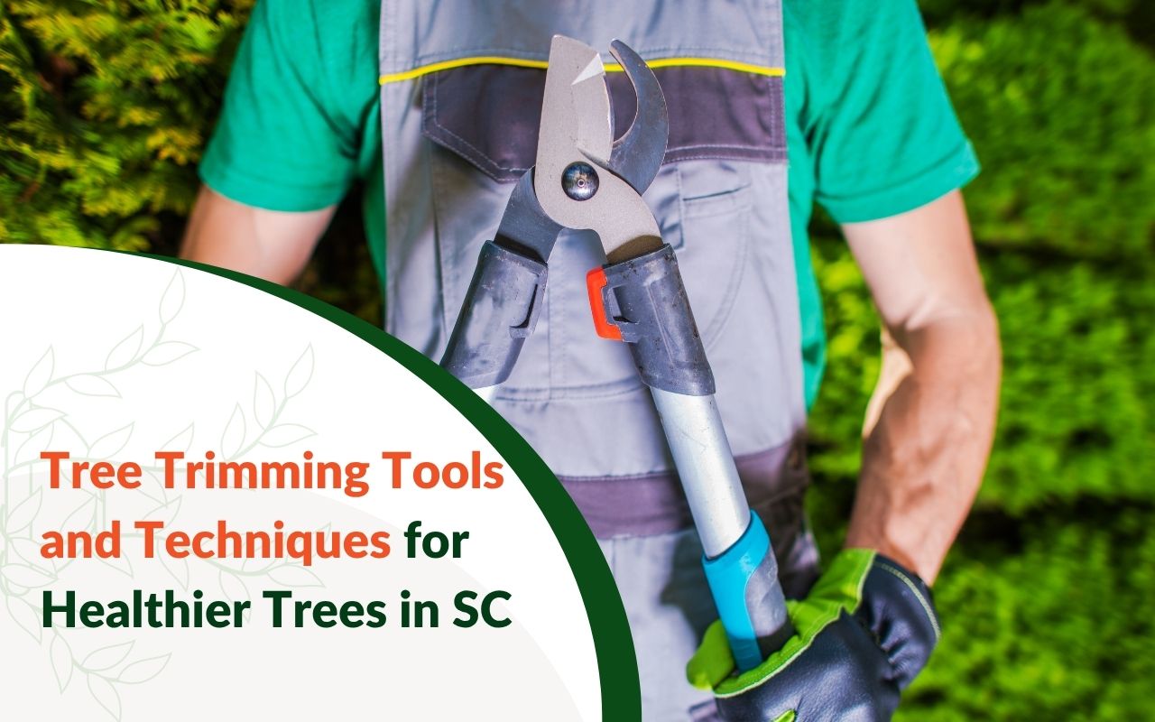 Professional pruning tools laid out for a Greenville tree trimming job