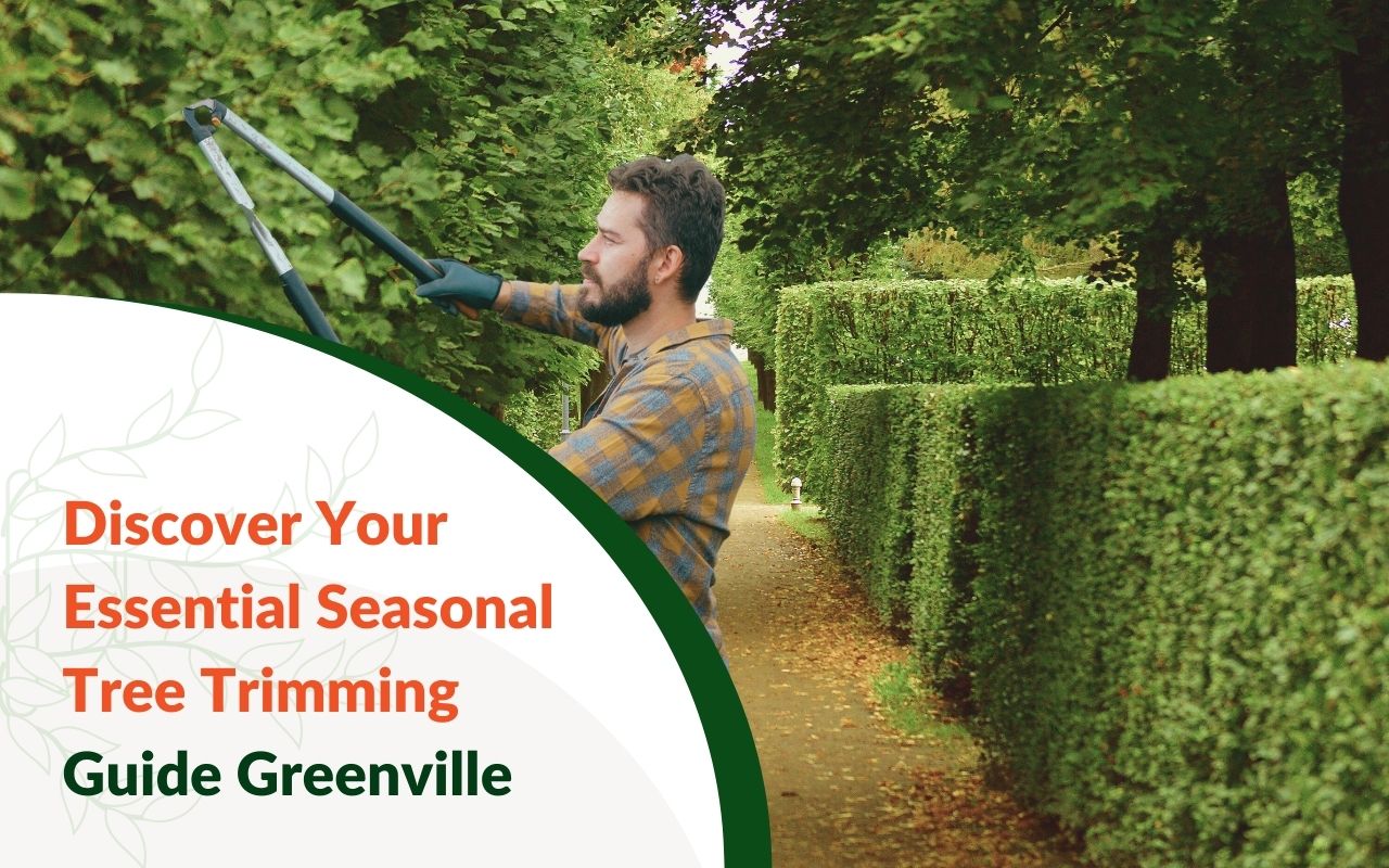 Tree Trimming in Greenville, SC ensuring healthy and safe branches