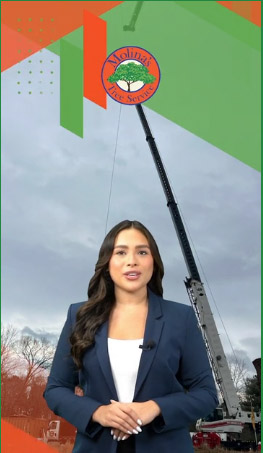 Our Services - Video