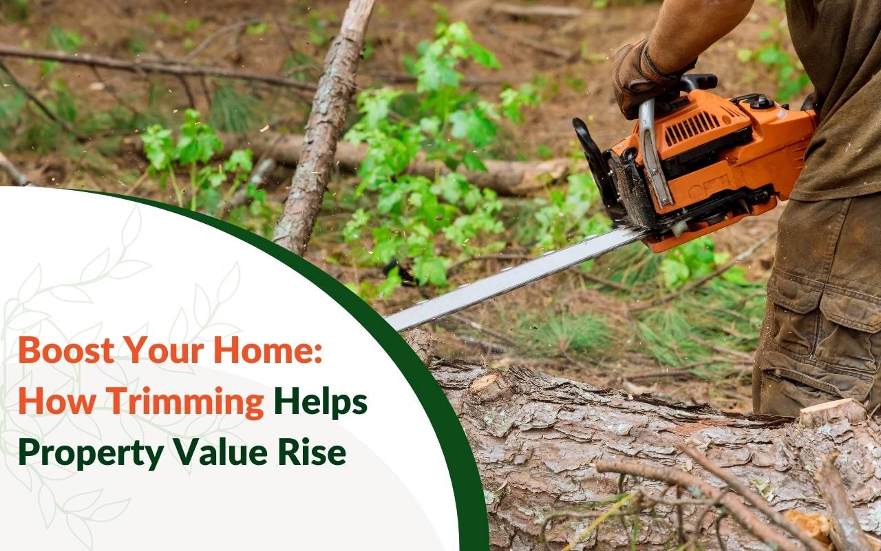 How trimming helps property value with neat landscaping