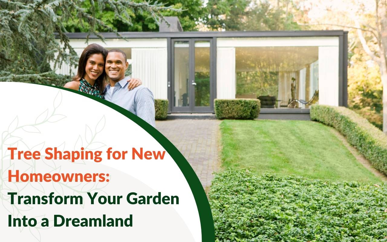 Tools for tree shaping for new homeowners