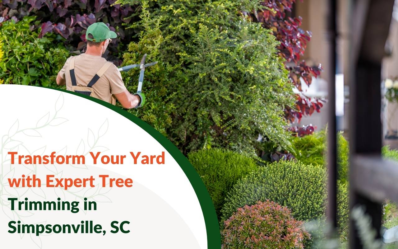 Tree Trimming in Simpsonville, SC enhancing a residential yard