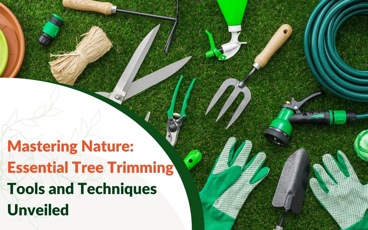 Essential tree trimming tools and techniques Greenville SC