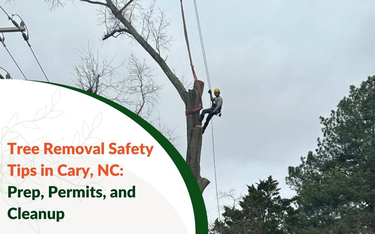 Effective debris cleanup after tree removal in Cary, NC