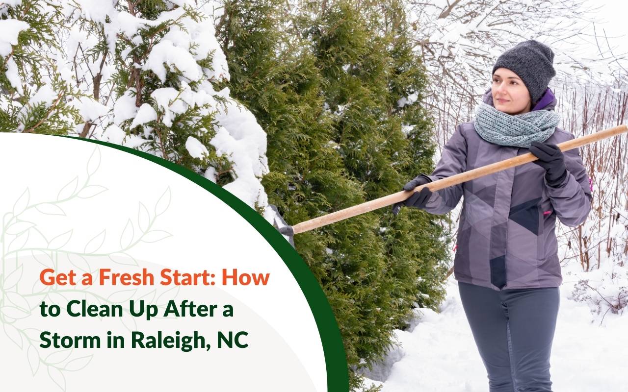 Clean yard after tree work that illustrates how to Clean Up After a Storm in Raleigh, NC and restore safety.