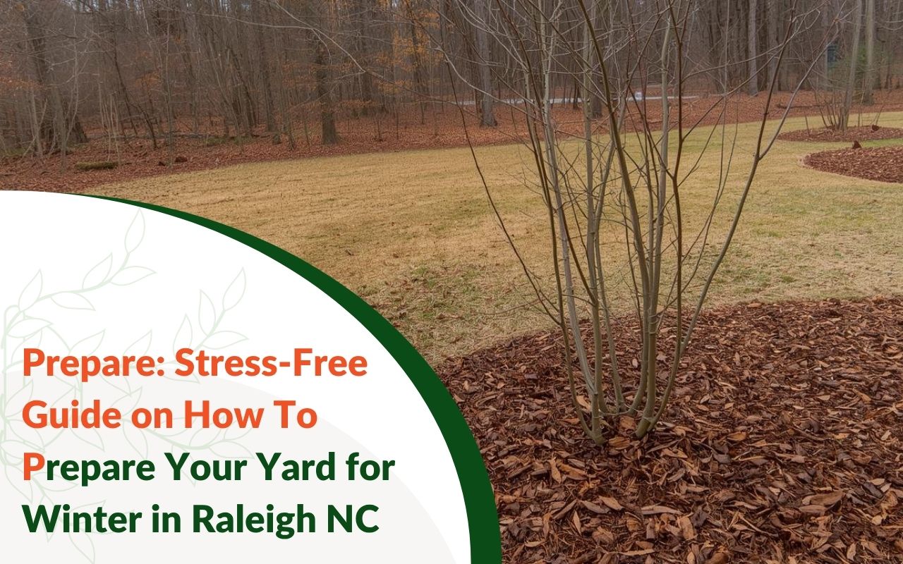 Mulching trees—how to prepare your yard for winter in Raleigh N.C