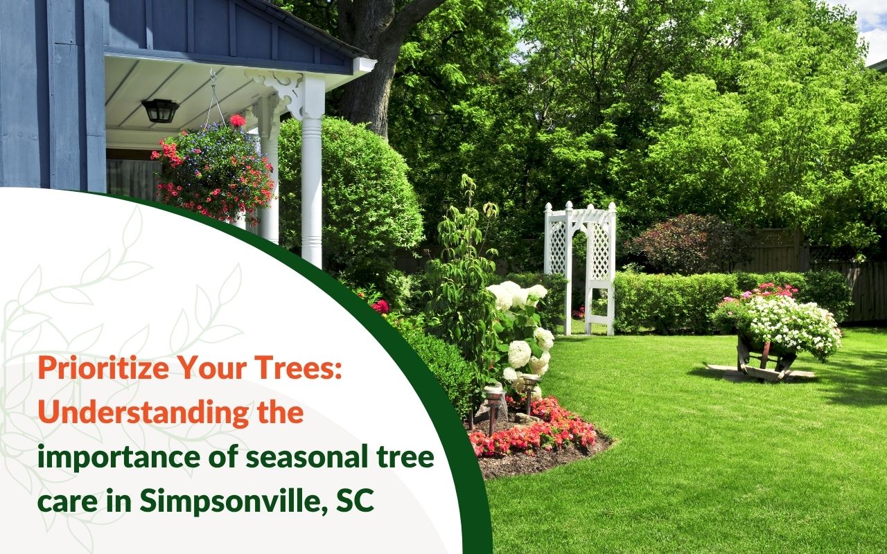 Front yard showing the importance of seasonal tree care in Simpsonville, SC