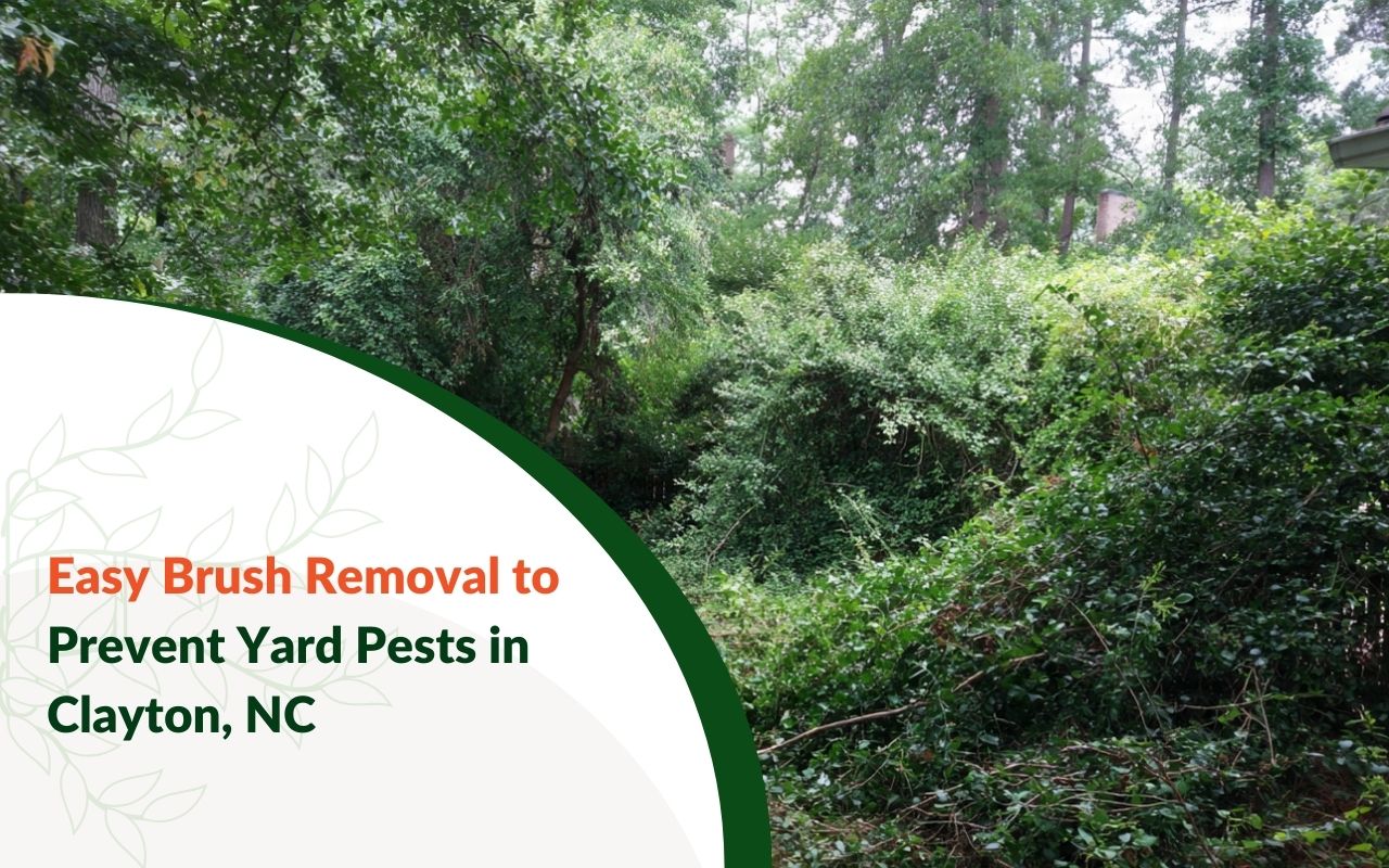 Brush Removal to Prevent Yard Pests in Clayton, NC by clearing dense brush near a backyard fence