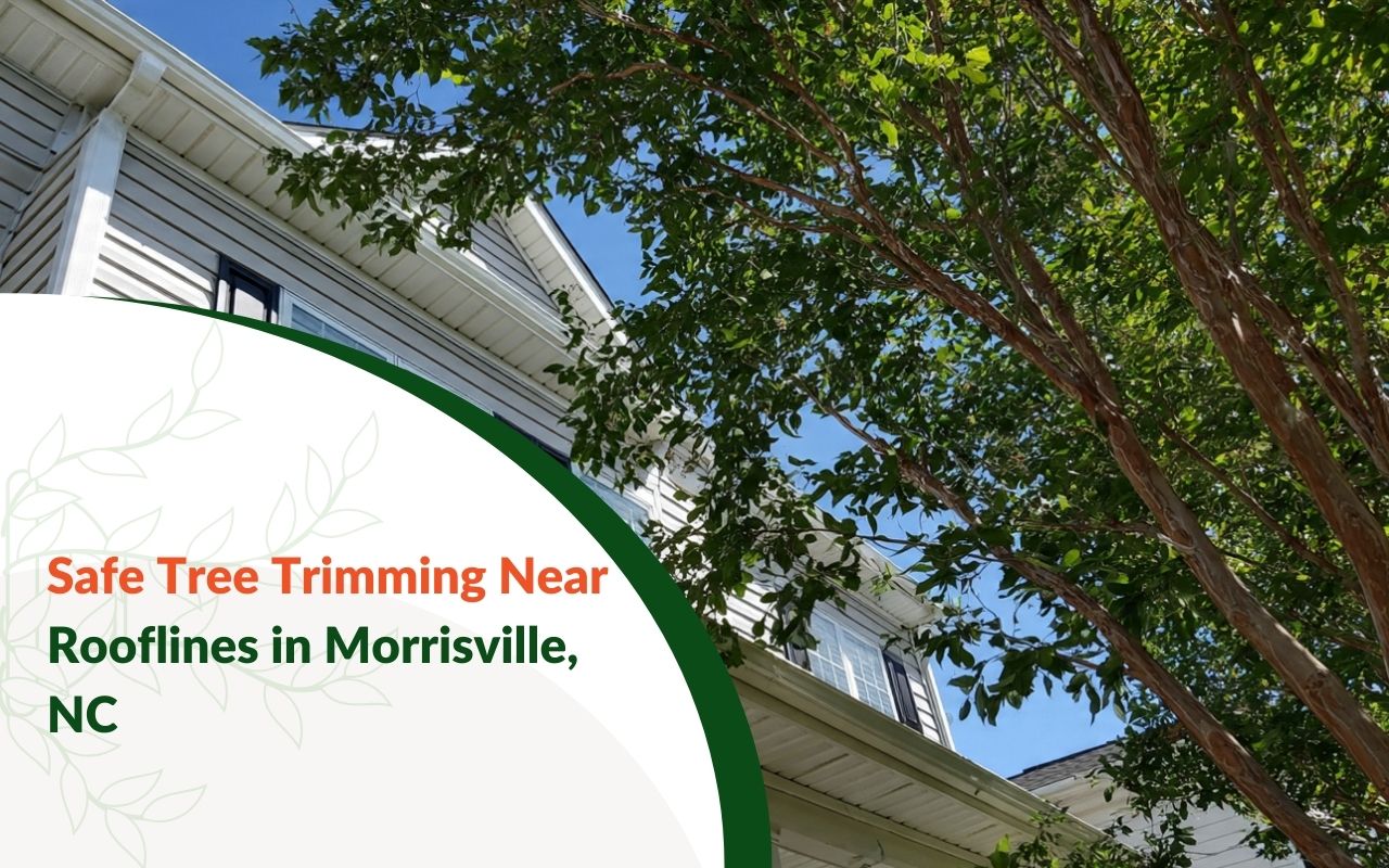 Safe Tree Trimming Near Rooflines in Morrisville, NC with proper roof clearance near gutters