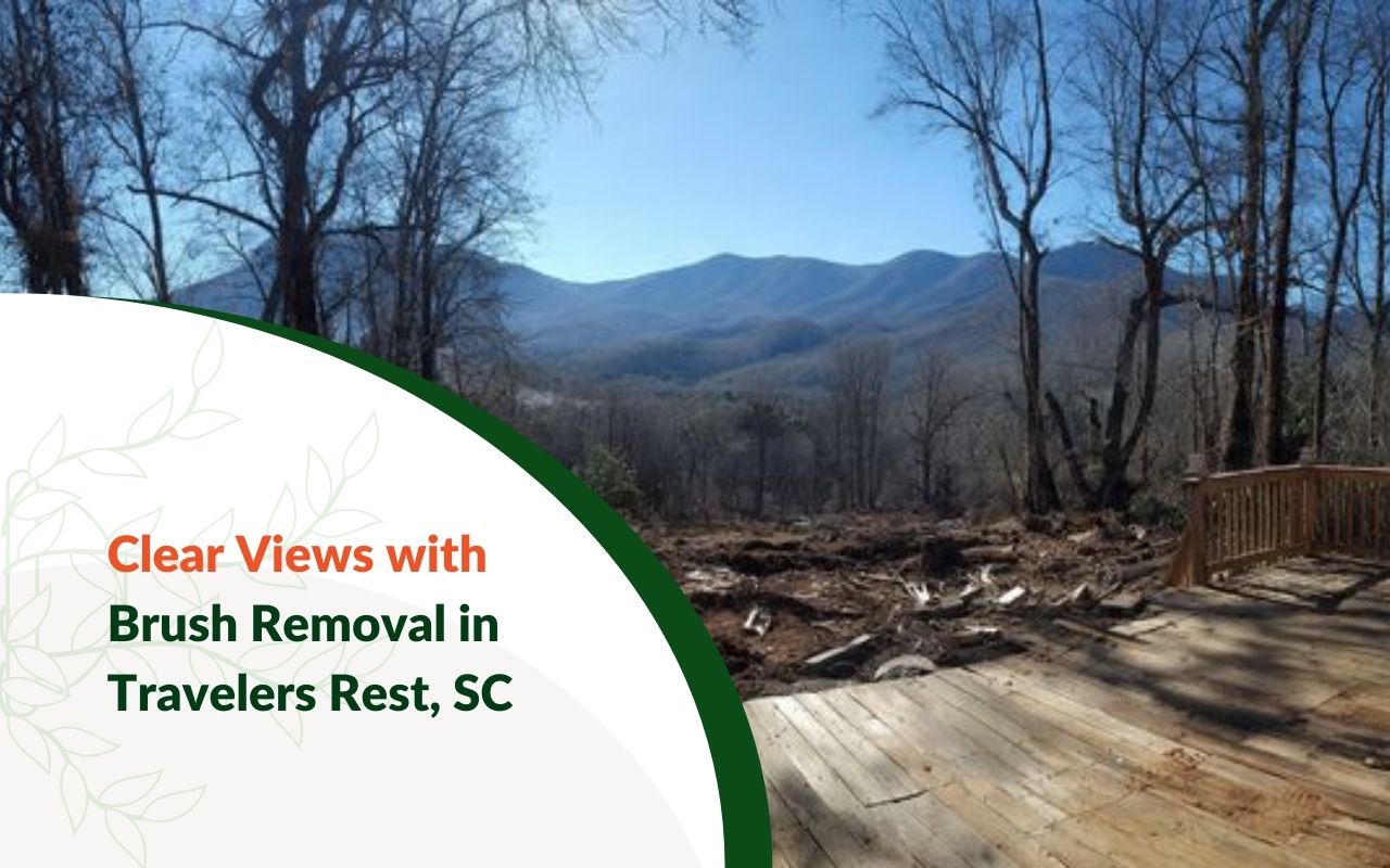 Brush Removal to Open Sightlines in Travelers Rest, SC creating a clear mountain view from a porch