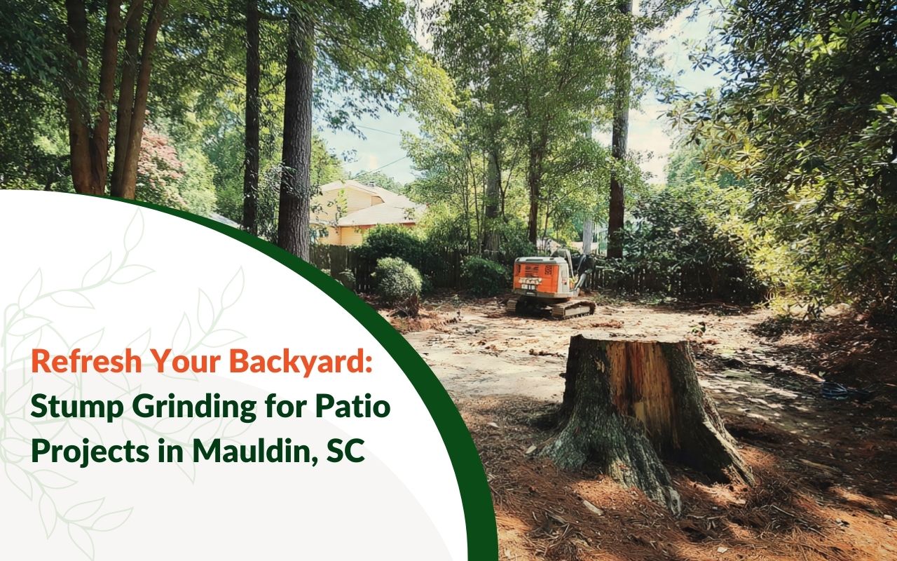 Stump Grinding for Patio Projects in Mauldin, SC preparing a flat patio base area