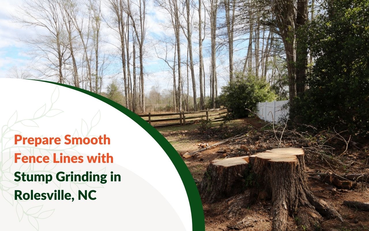 Stump Grinding to Prep Fence Lines in Rolesville, NC in a backyard before setting fence posts