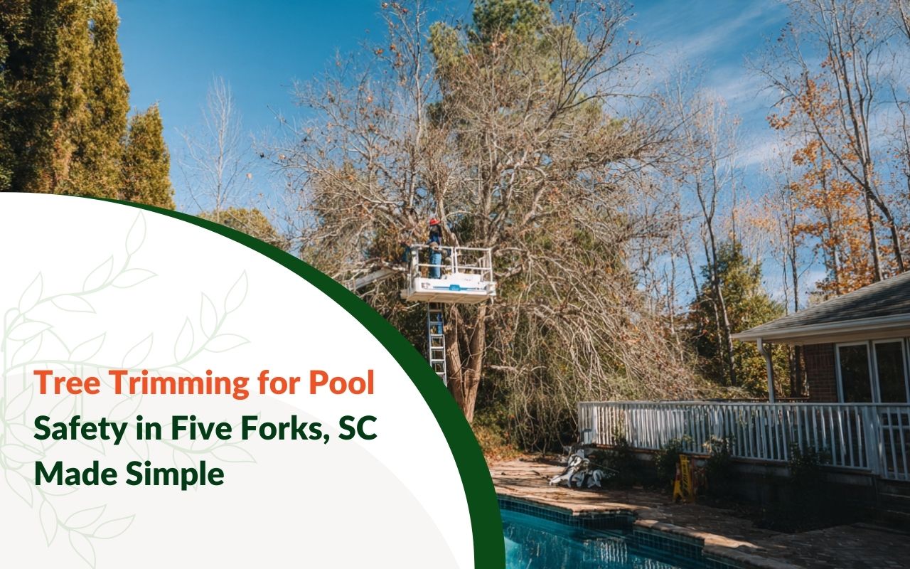 Tree Trimming for Pool Safety in Five Forks, SC around a backyard pool to reduce falling limbs and debris