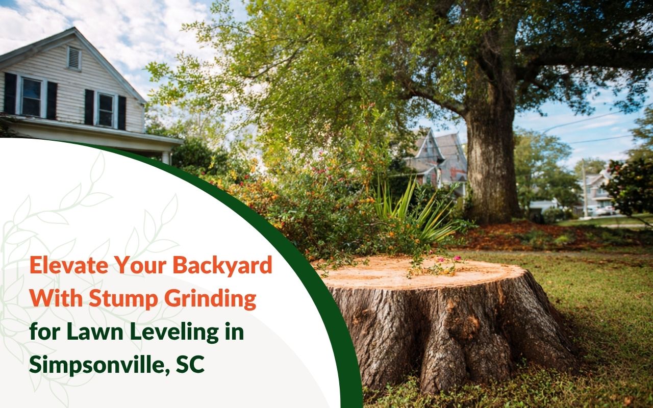 Stump Grinding for Lawn Leveling in Simpsonville, SC in a backyard
