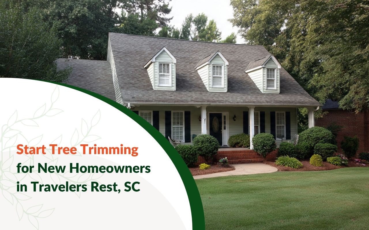 Tree Trimming for New Homeowners in Travelers Rest, SC in a well-kept front yard