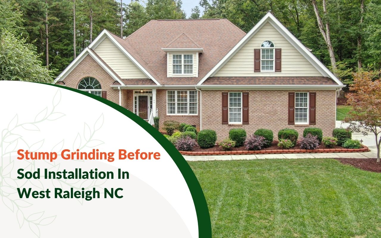 Yard preparation after Stump Grinding Before Sod Installation in West Raleigh NC