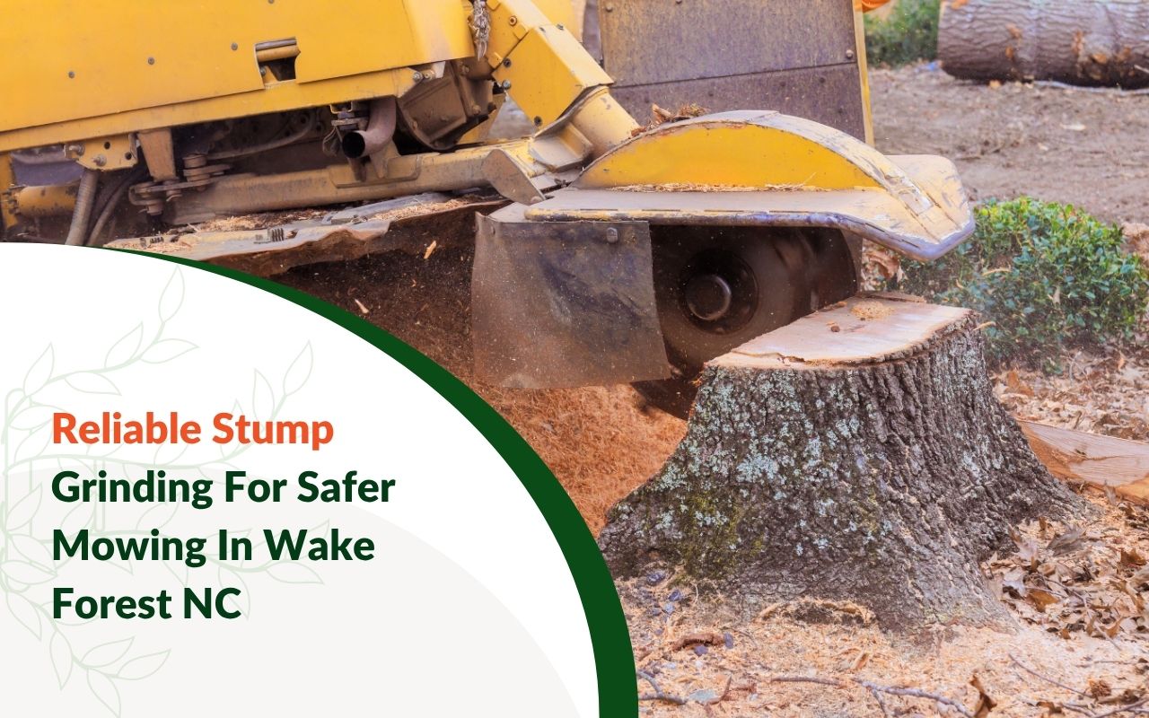 Professional stump grinding service improving lawn safety in Wake Forest NC