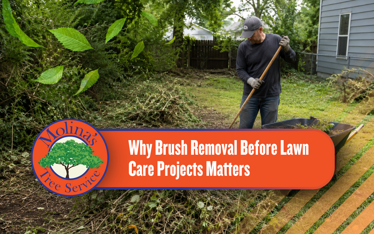 Brush removal before lawn care projects in an overgrown yard