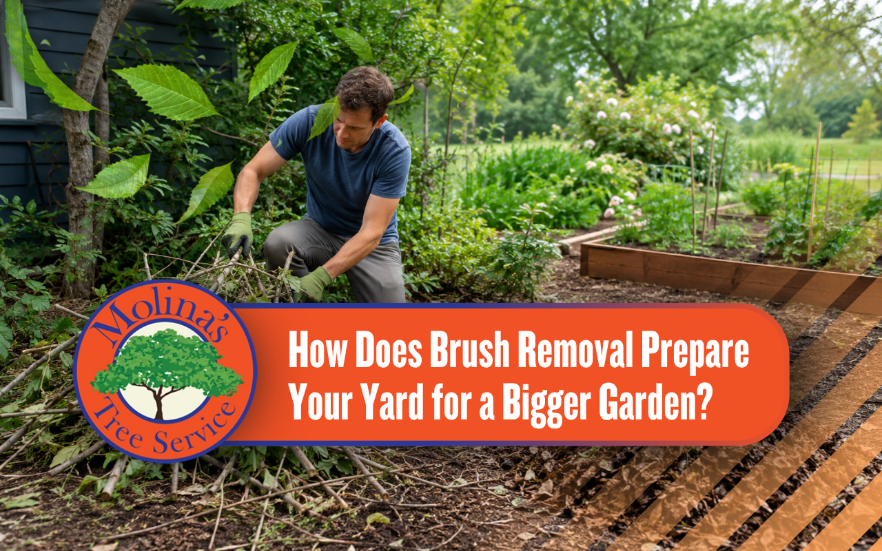 Brush Removal for Compost-Friendly Yard Cleanup in a residential garden