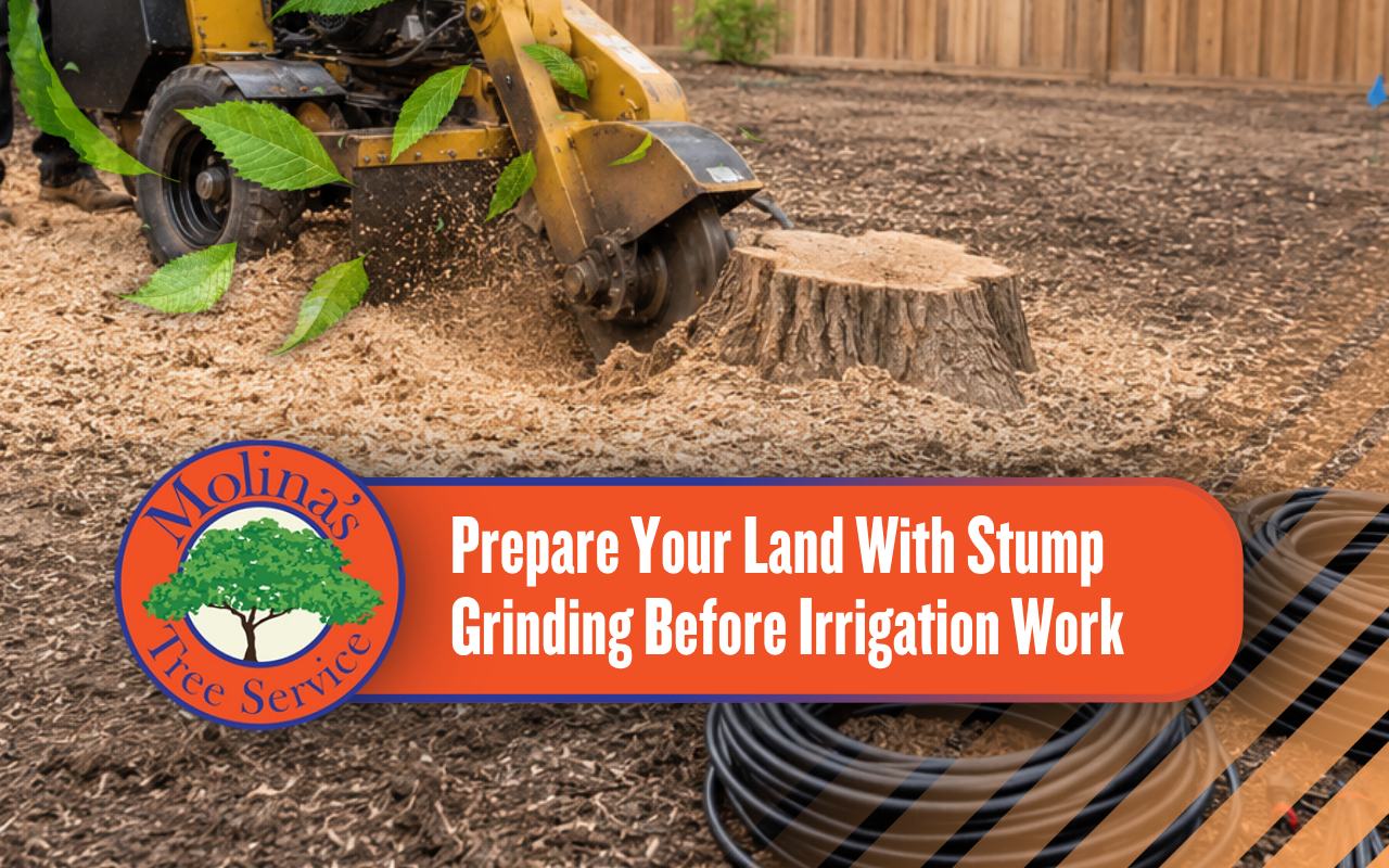 Stump grinding before irrigation work in a prepared yard