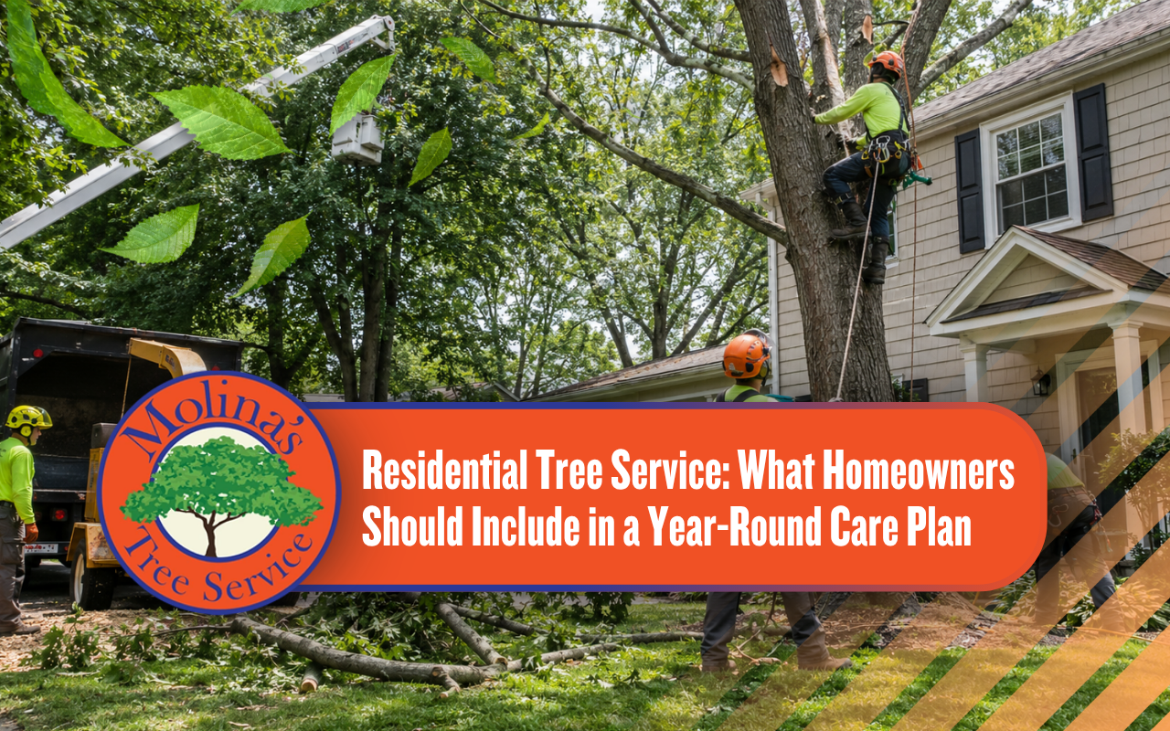 Professional residential tree service crew working around a home