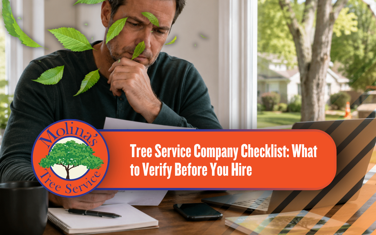 Homeowner reviewing a checklist before choosing a tree service company