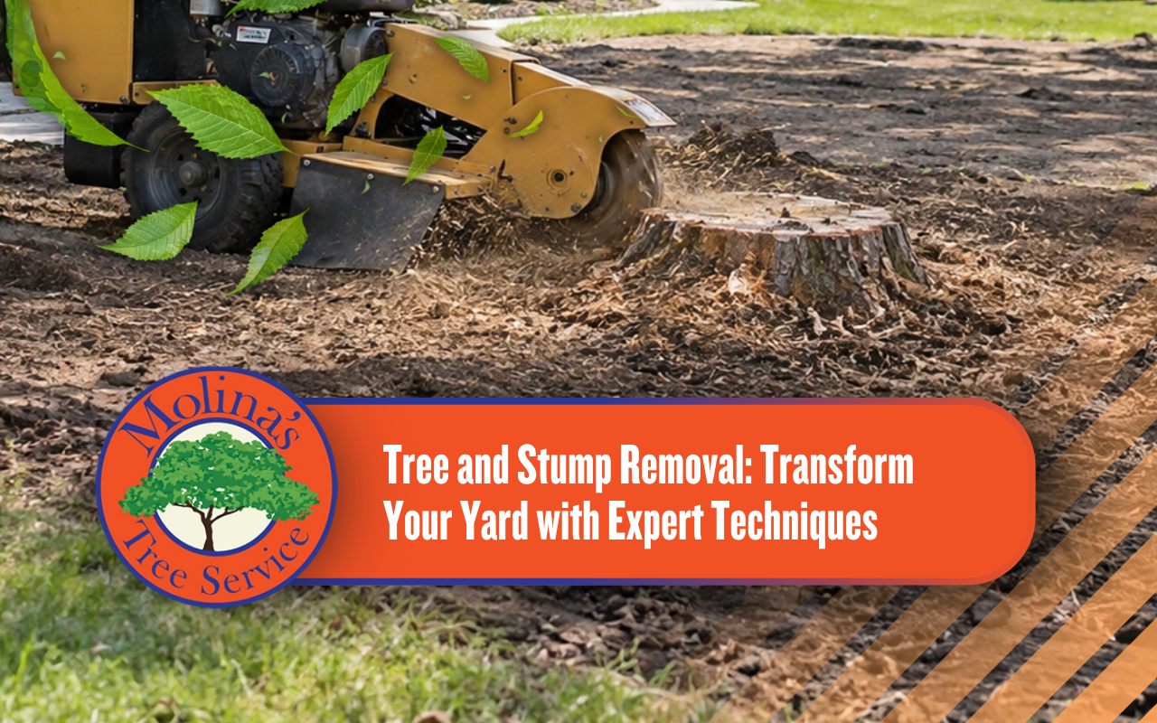 Tree and stump removal preparing a yard for future landscaping
