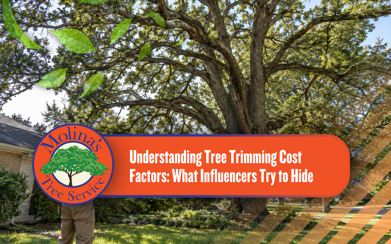 Tree trimming cost factors related to tree size and branch structure